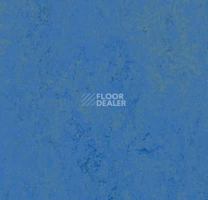 Линолеум Forbo Marmoleum Decibel on Order 373935 blue glow фото 1 | FLOORDEALER